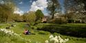 Gostrey Meadow