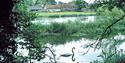 Visitor Centre viewed from River Itchen