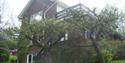Spring Cottage
