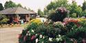 Alderstead Heath Caravan Club Site