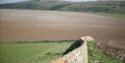 East Dean