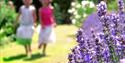 Children in garden