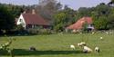 Coopers Farm from sheep field