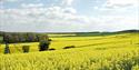 Oxfordshire Cotswolds, Banbury, Oxfordshire