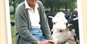 Roald Dahl with Cows, Bucks