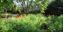 Denmans Gardens