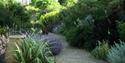 Denmans Gardens