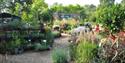 Denmans Gardens plant sales