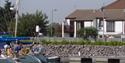 DOLPHINS OVERLOOKING HASLAR MARINA