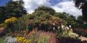 Nymans Garden