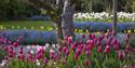 Cotwold Wildlife Park & Gardens