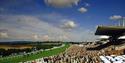 Image of Goodwood Racecourse near Arundel