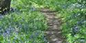 Horam Manor Touring Park,Heathfield,Sussex