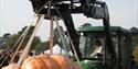 Pumpkin Festival