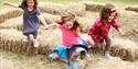 Children playing at Cogges