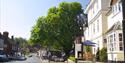 High Street @Alex Anderson