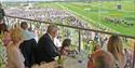 Lunching and racing