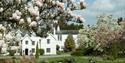 Magnolias framing Jermyns House