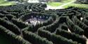 Cliveden Maze