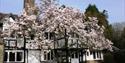 ockenden manor,sussex,cuckfield,restaurant