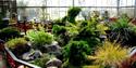 Paradise Park conservatory