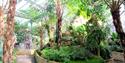 Paradise Park Conservatory