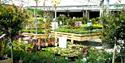 Paradise Park plant sales