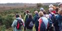 Hidden Britain Tours