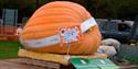 Large pumpkin at the festival
