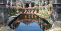 Pink tulips reflected in the rill pond at Arundel Castle