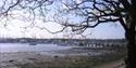 View from the Park