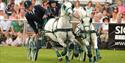 Surrey County Show