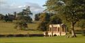 Summer at Stowe Landscape Gardens