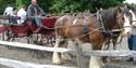 Tulleys Farm horse ride