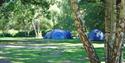 Wellington Country Park - Camping