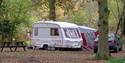 Wellington Country Park