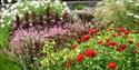 West Dean Gardens GAsher