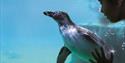 Marwell Wildlife
