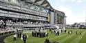 Image of the grandstand at Ascot Racecourse