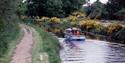Basingstoke Canal, Woking, Surrey