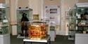 Thame Museum