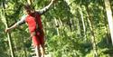 Image of a man in the treetops at Go Ape!