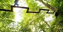 Aerial Crossing at Go Ape, Buckinghamshire