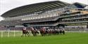 Grandstand, photograph courtesy of Action Images