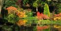 Leonardslee Lakes and Gardens in the Autumn