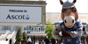 Ascot Family Fun Day