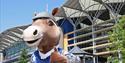 Scotty the Mascot