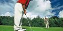 Image of two men playing golf