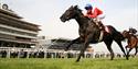 Flat racing