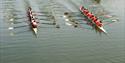 Rowering Race